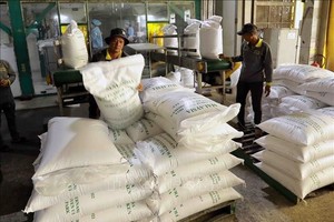 农产品市场：越南已出口近590万吨大米