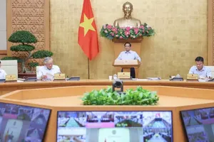 政府最近颁布了第237号《议定》。