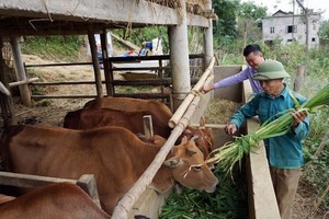 将筹集约12.35千万亿元用于2026-2035阶段新农村建设和减贫工作。