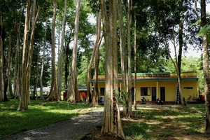 吉仙国家公园。