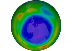 附图（图：互联网）。