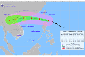 胡志明市和南部地区的天气没有直接受到台风“桦加沙”的影响。