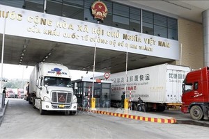 广宁省致力将芒街建设成为智慧口岸