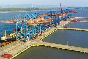 海防市自由贸易区成立