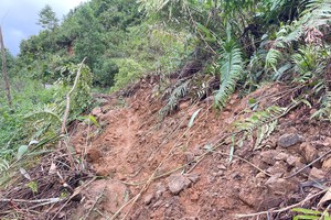土石倾泻至ĐH83路线导致德宝和德潘两村被孤立（图：阮氏情）。