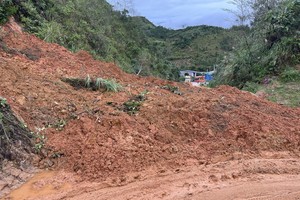 胡志明路第1421公里处发生山体滑坡，导致交通中断。