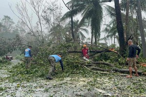 11月4日，在菲律宾莱特省，警方和居民正在清理台风“海鸥”造成的倒塌树木。图：法新社