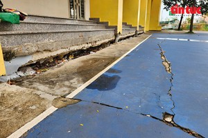 安乐坊是胡志明市沉降速度最快之坊，12年内沉降近1米。 不少公寓、文化中心、学校和民房受影响，出现墙体、地基开裂现象。