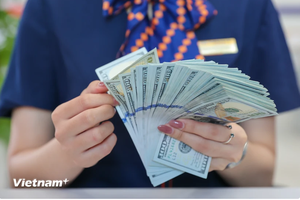 11月14日上午，美元卖出价继续下降。