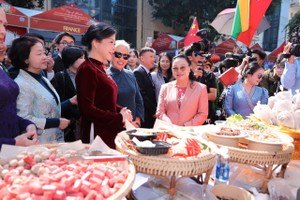 2025国际美食文化节吸引近两万人次参观