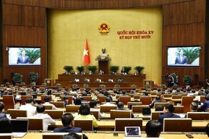 第十五届国会第十次会议全景。图：越通社