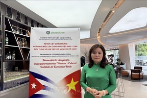 越南科技协会联合会下属绿色经济研究所主任杨氏碧叶。图：越通社