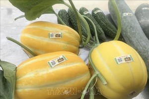 越南亟待建立国家统一的商品溯源体系。