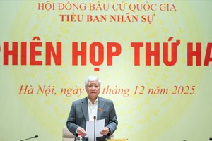 国会常务副主席、国家选举委员会常务副主席、人事小组组长杜文战发表讲话。