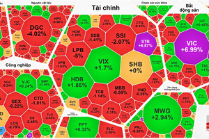 VN-Index 暴涨近28点。