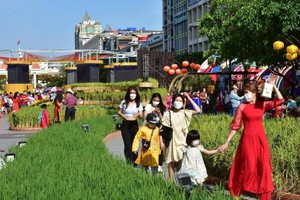 胡志明市市民春游。