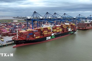 在越南港口停泊的集装箱船。图：越通社