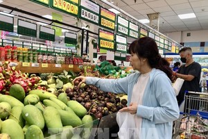 胡志明市消费市场呈现更加理性、务实和注重体验的明显趋势。图：越通社