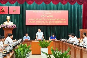 胡志明市市委书记陈留光发表讲话。