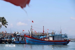 附图。图：越通社