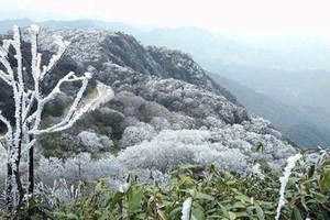 北部山区局部地区将出现低于6摄氏度的极寒天气。