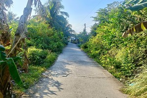 通往受害者 H.T.L.家的小路。