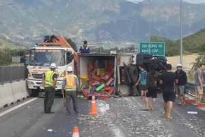 两车碰撞导致载鱼货车侧翻，鱼群散落在路面上。