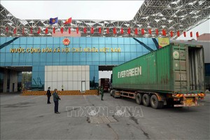 芒街国际口岸海关力量（第八区域海关分局）与口岸边防力量在北仑二口岸对通关货车进行检查。