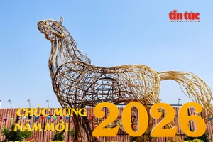 胡志明市陈富街“黄金地块”上出现8米高巨型马。