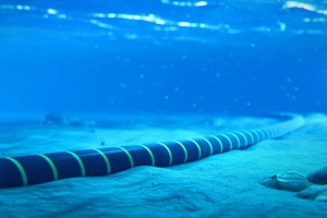 越南目前拥有6条海底光缆，包括AAG、IA、AAE1、APG、ADC和SJC2。图：越通社