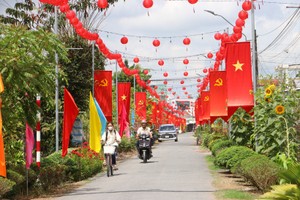 永隆省正按规定、按进度同步开展各项准备步骤。图：越通社