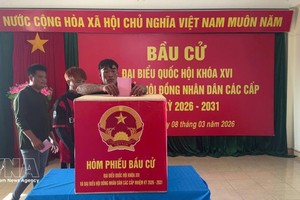 长沙与土珠岛选民提前投票。图：越通社