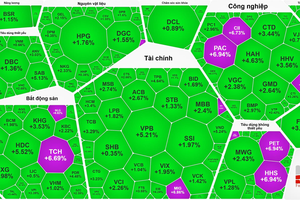 房地产股强势领涨，VN-Index重回1600点大关。