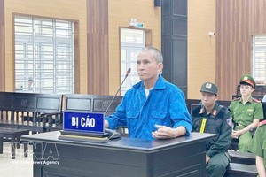 被告黄玉俊因“制作、传播宣传反对越南社会主义共和国的信息罪”被判处有期徒刑8年6个月