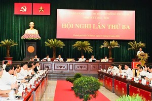 胡志明市市委各副书记重点任务分工