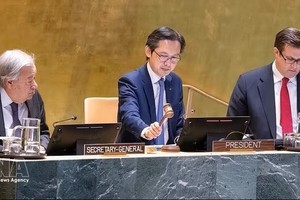 越南主持《不扩散核武器条约》缔约方第11次审议大会。图：越通社