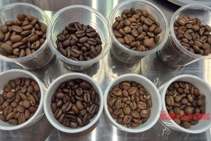 4月29日咖啡价格：意外上涨，中国咖啡巨头搅动市场