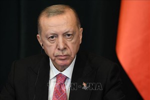 土耳其总统埃尔多安在阿尔巴尼亚首都地拉那举行新闻发布会。图：法新社/越通社