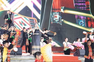 主题为“沙巴——爱情之乡”的艺术活动。图：越通社