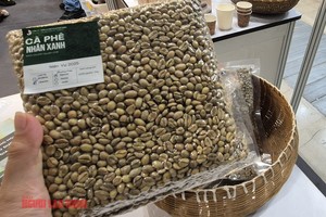 越南咖啡已度过“独占市场”阶段。