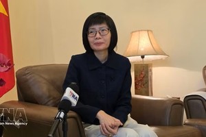 越南常驻东盟代表团团长孙氏玉香大使。图：越通社