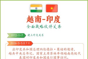 越南-印度全面战略伙伴关系