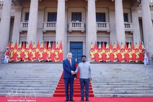 越南共产党中央总书记、国家主席苏林与斯里兰卡总统阿努拉·库马拉·迪萨纳亚克。图：越通社