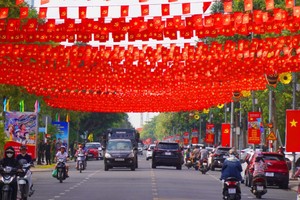 同奈市整顿市容迎接重大盛事