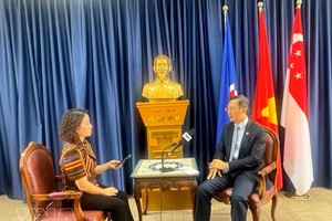 越南驻新加坡大使陈福英接受了越通社驻新加坡记者的专访。图：越通社
