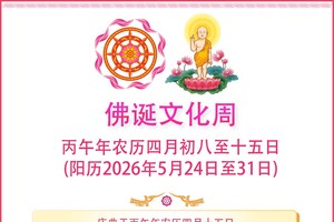 佛诞文化周于2026年5月24至31日举行