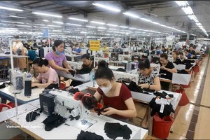 泰原TNG服装公司年均营业额达数十亿元，为逾2万名工人提供就业机会。图：越通社