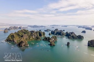 越南位列最受青睐的旅游与移居国家前四强