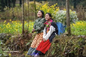 越南被视为一个安全、绿色、友好且文化特色鲜明目的地。图：越通社