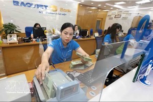 附图。图：越通社
